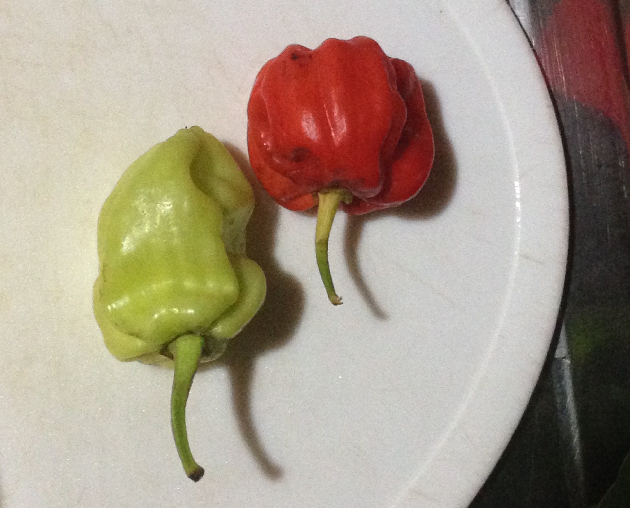hot peppers
